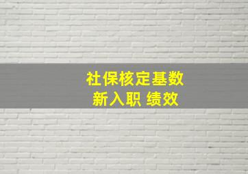 社保核定基数 新入职 绩效